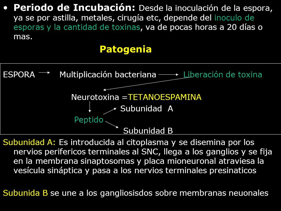 Periodo de Incubación: Desde la inoculación de la espora, ya se por astilla, metales, cirugía etc, depende del inoculo de esporas y la cantidad de toxinas, va de pocas horas a 20 días o mas.