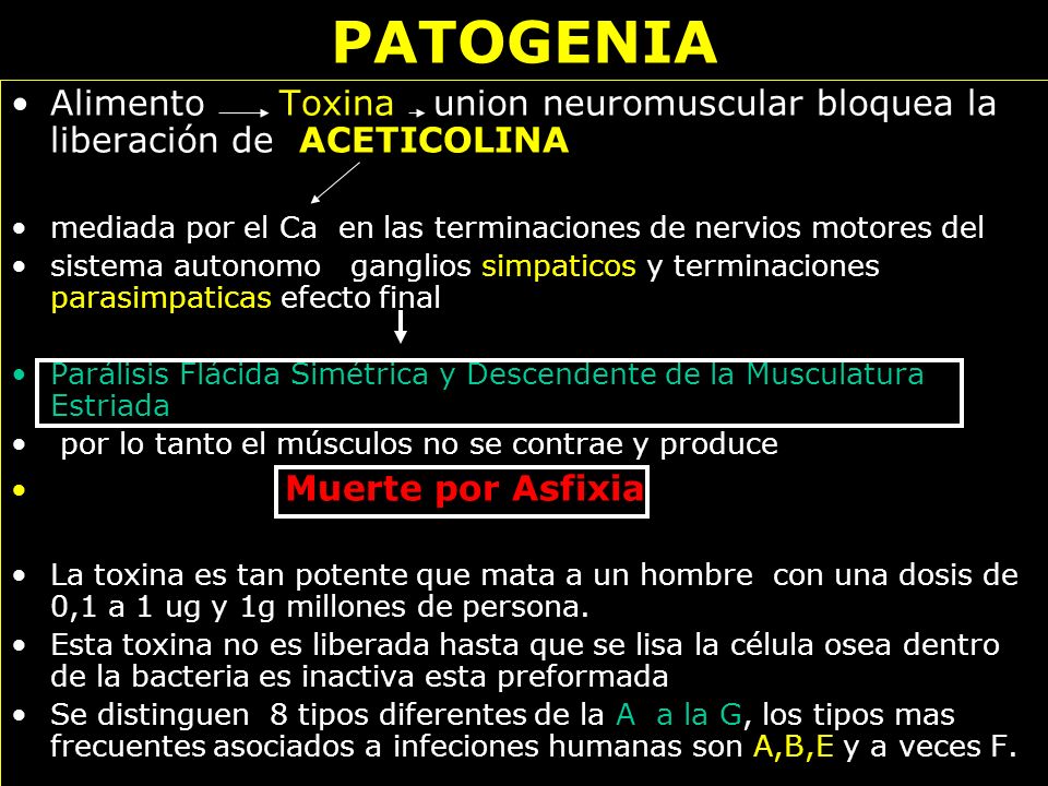 PATOGENIA Alimento Toxina union neuromuscular bloquea la liberación de ACETICOLINA.