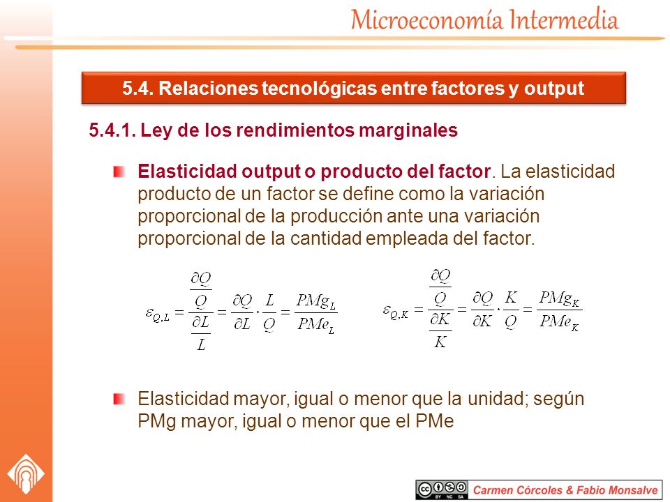 5.4. Relaciones tecnológicas entre factores y output