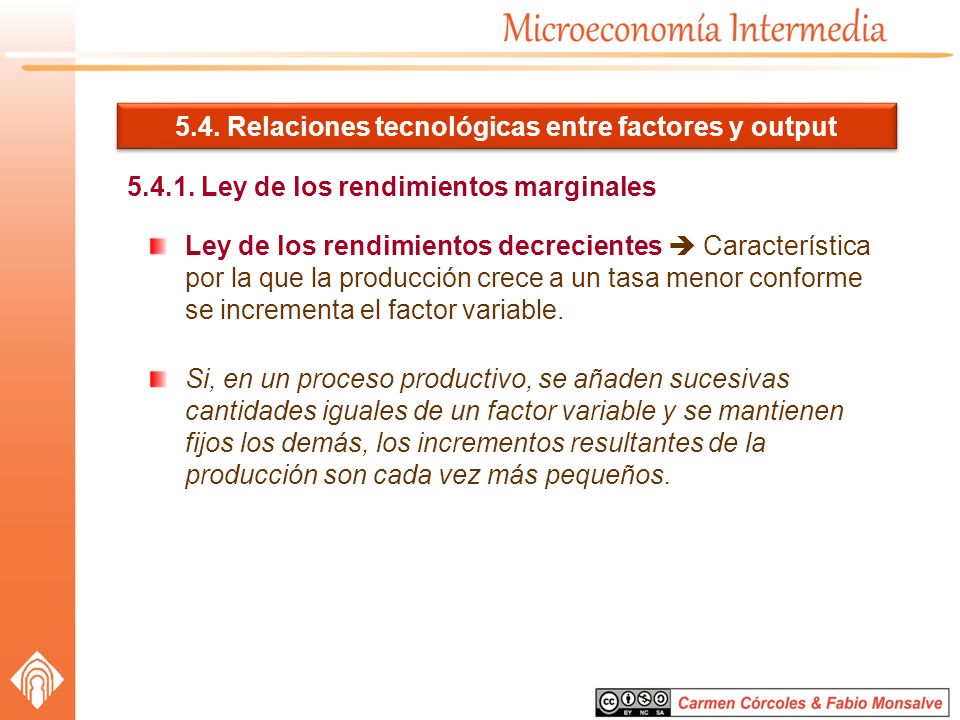 5.4. Relaciones tecnológicas entre factores y output
