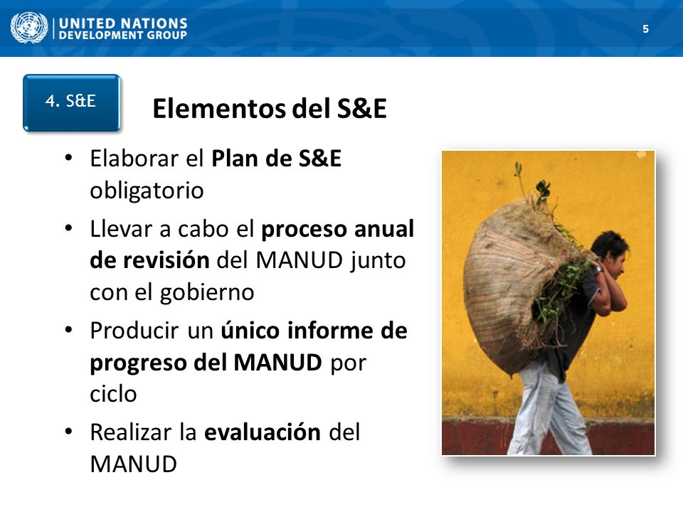 Elementos del S&E Elaborar el Plan de S&E obligatorio