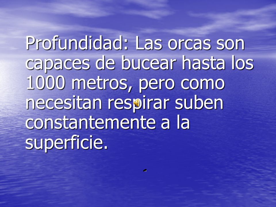 Profundidad: Las orcas son capaces de bucear hasta los 1000 metros, pero como necesitan respirar suben constantemente a la superficie.