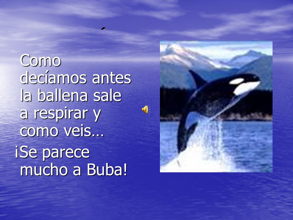 Como decíamos antes la ballena sale a respirar y como veis…