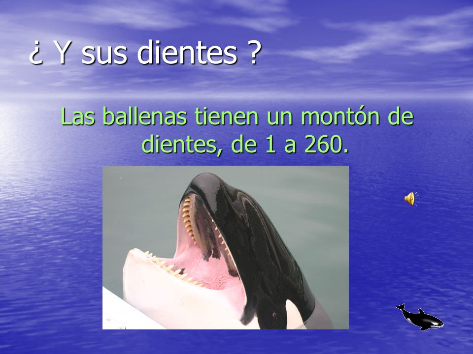 Las ballenas tienen un montón de dientes, de 1 a 260.