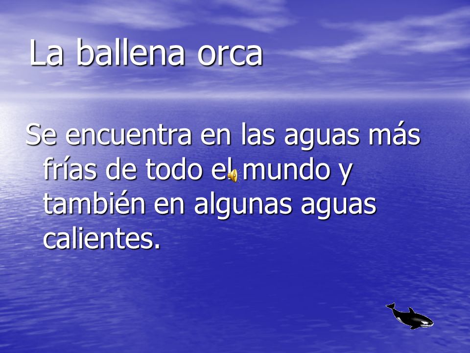 La ballena orca Se encuentra en las aguas más frías de todo el mundo y también en algunas aguas calientes.