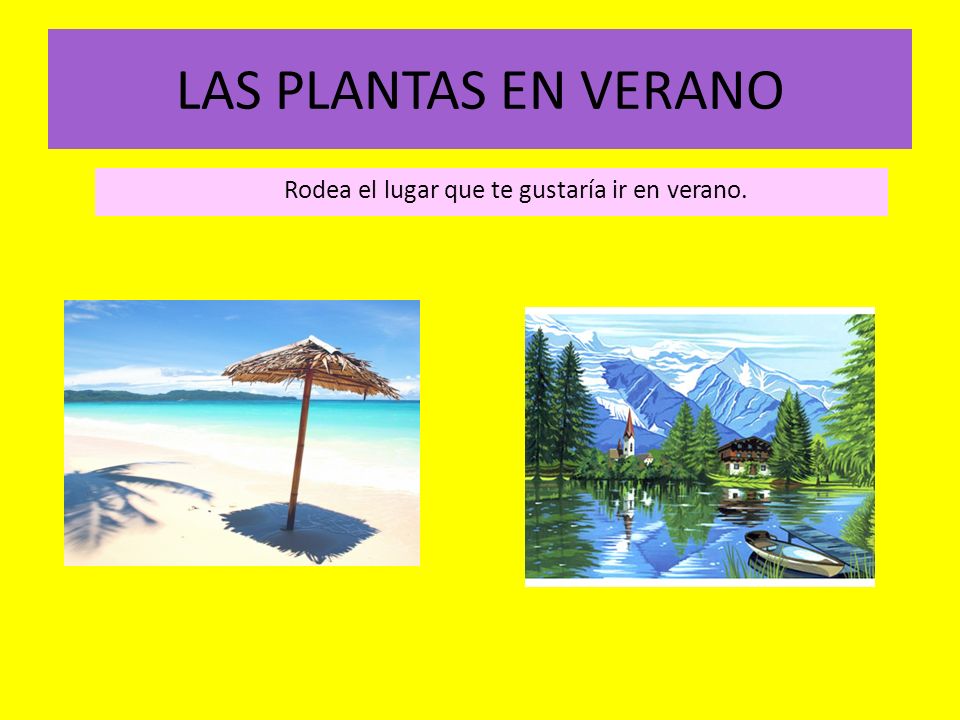 LAS PLANTAS EN VERANO Rodea el lugar que te gustaría ir en verano.