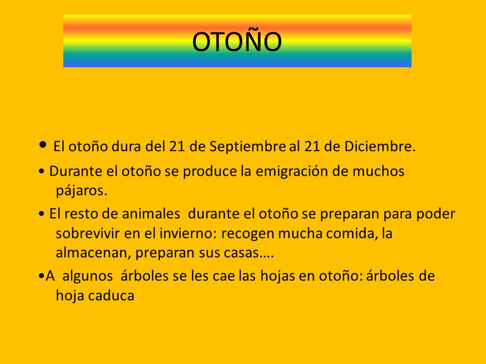 OTOÑO • El otoño dura del 21 de Septiembre al 21 de Diciembre.