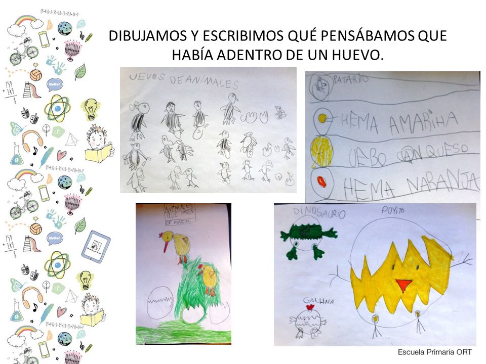 DIBUJAMOS Y ESCRIBIMOS QUÉ PENSÁBAMOS QUE HABÍA ADENTRO DE UN HUEVO.