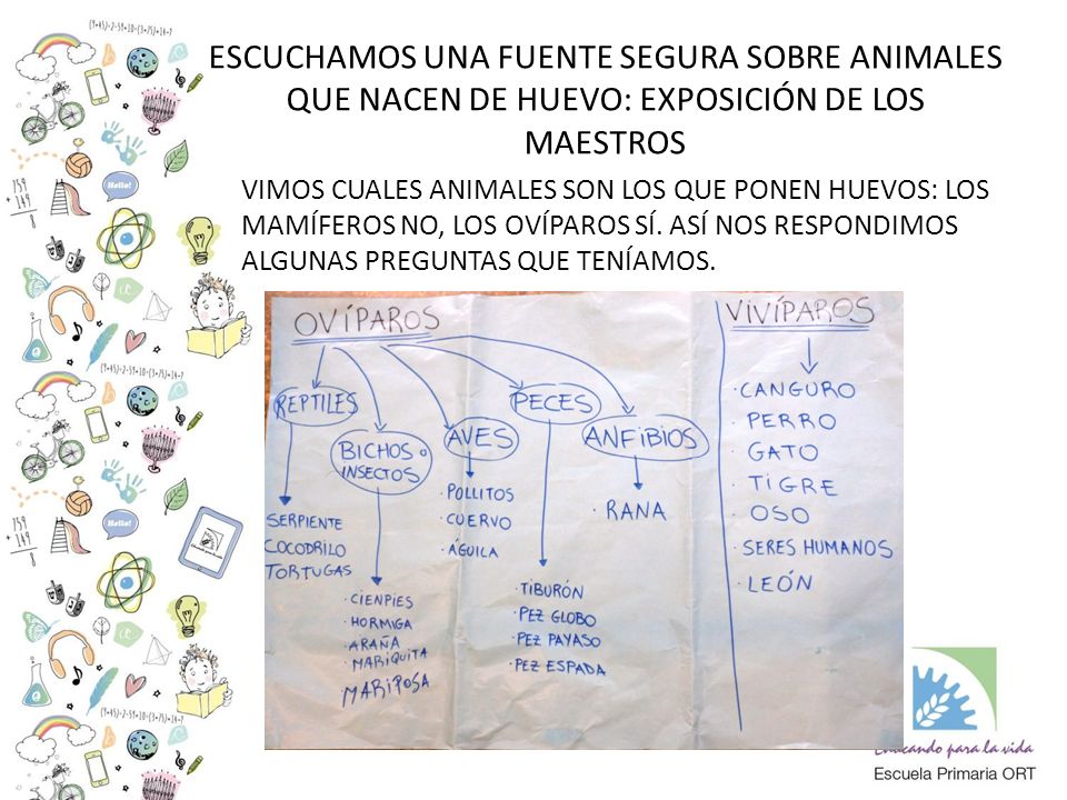 ESCUCHAMOS UNA FUENTE SEGURA SOBRE ANIMALES QUE NACEN DE HUEVO: EXPOSICIÓN DE LOS MAESTROS