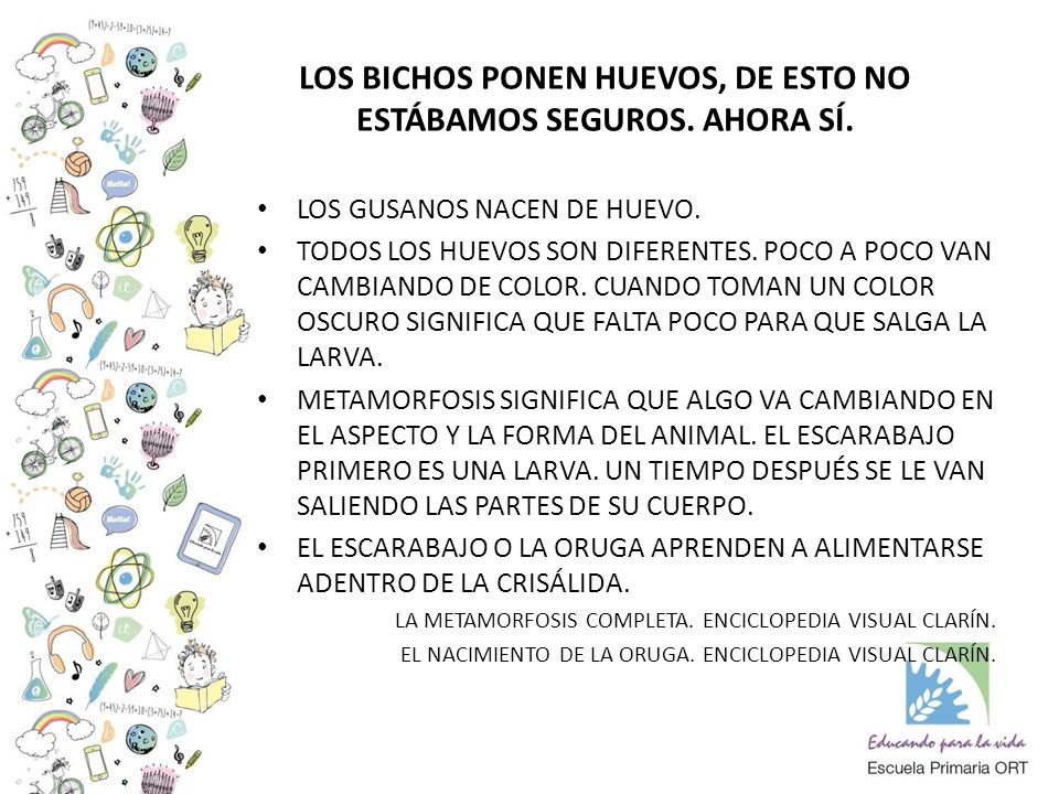 LOS BICHOS PONEN HUEVOS, DE ESTO NO ESTÁBAMOS SEGUROS. AHORA SÍ.