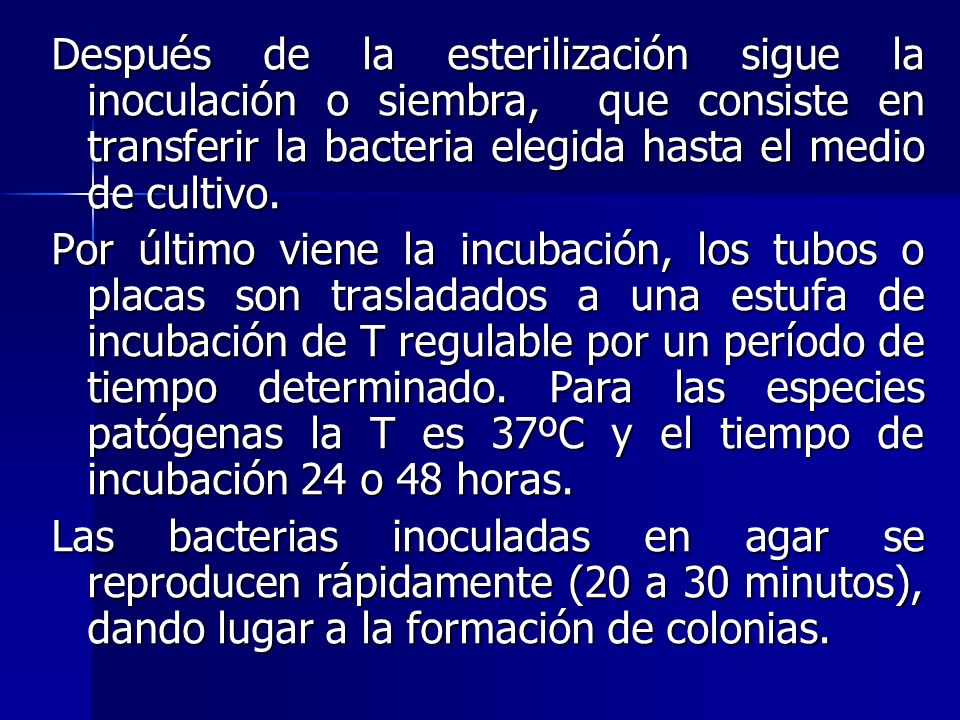 Después de la esterilización sigue la inoculación o siembra, que consiste en transferir la bacteria elegida hasta el medio de cultivo.