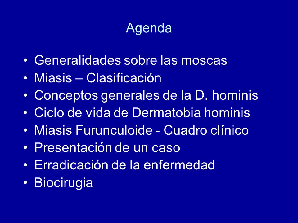 Agenda Generalidades sobre las moscas. Miasis – Clasificación. Conceptos generales de la D. hominis.