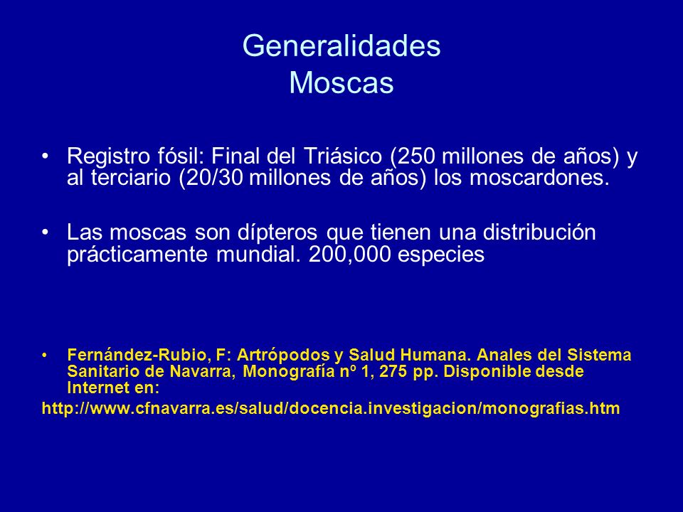 Generalidades Moscas Registro fósil: Final del Triásico (250 millones de años) y al terciario (20/30 millones de años) los moscardones.