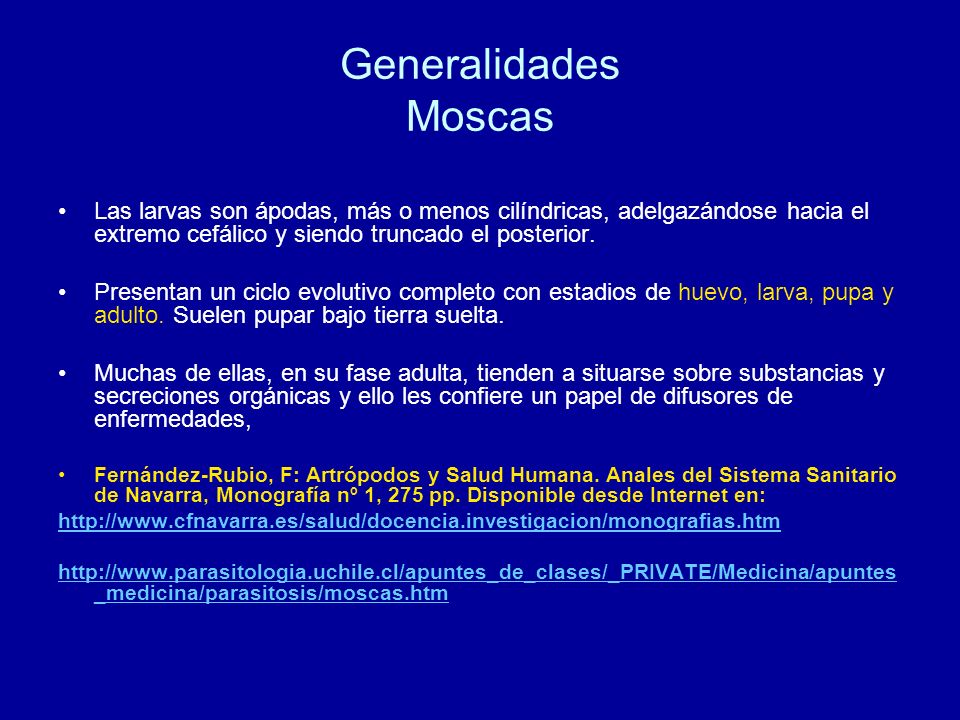 Generalidades Moscas Las larvas son ápodas, más o menos cilíndricas, adelgazándose hacia el extremo cefálico y siendo truncado el posterior.