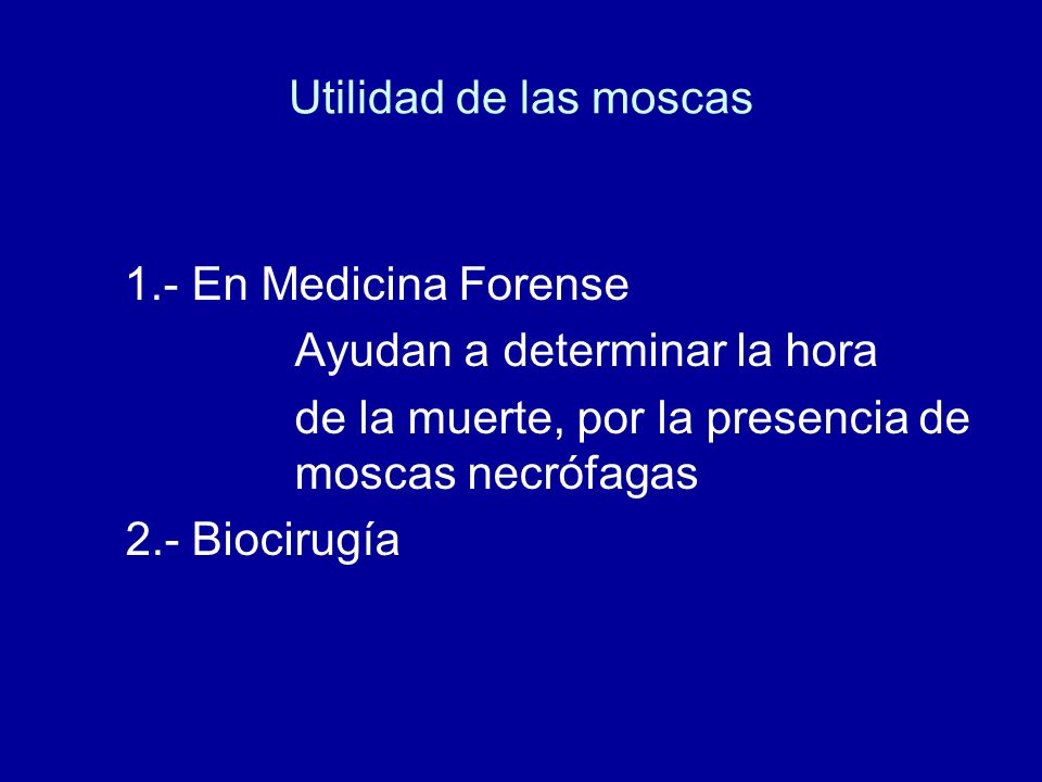 Utilidad de las moscas 1.- En Medicina Forense. Ayudan a determinar la hora. de la muerte, por la presencia de moscas necrófagas.