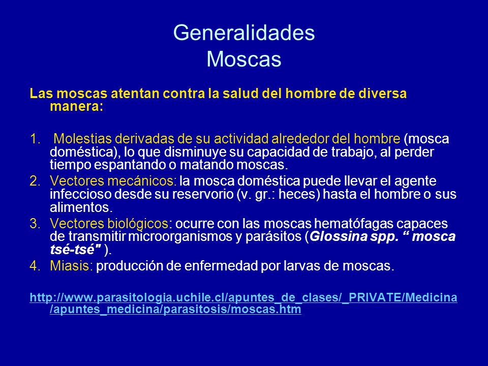Generalidades Moscas Las moscas atentan contra la salud del hombre de diversa manera: