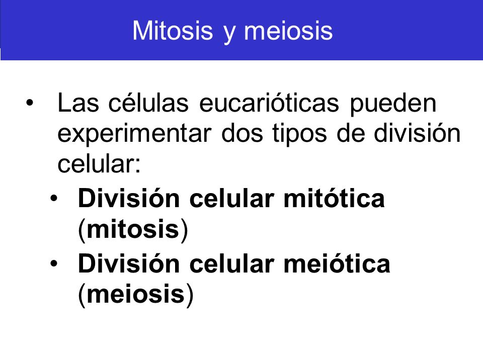 Mitosis y meiosis Las células eucarióticas pueden experimentar dos tipos de división celular: División celular mitótica (mitosis)