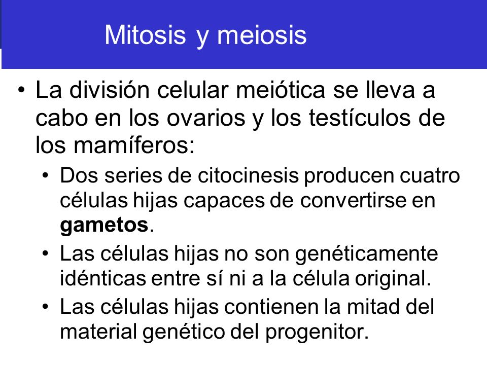 Mitosis y meiosis La división celular meiótica se lleva a cabo en los ovarios y los testículos de los mamíferos: