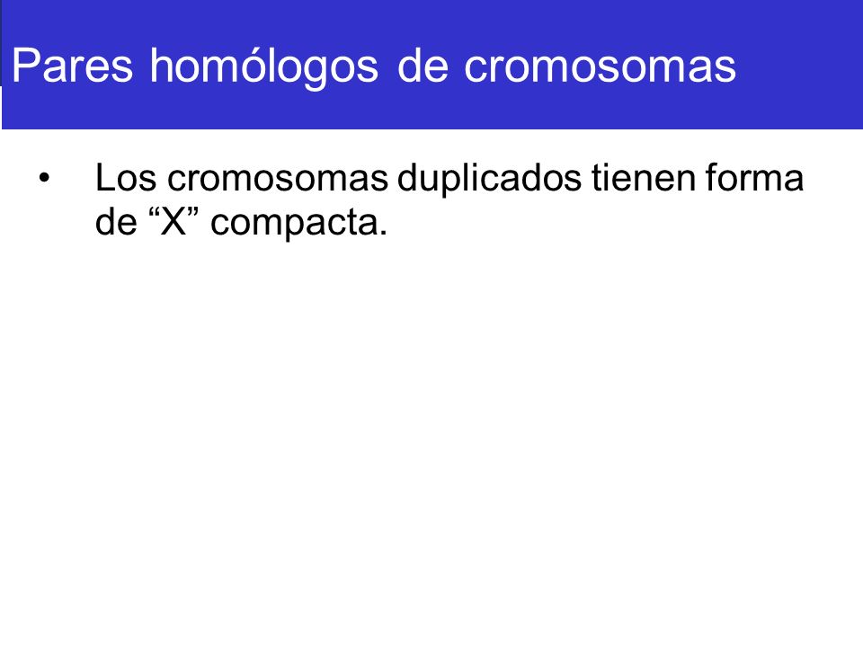 Pares homólogos de cromosomas