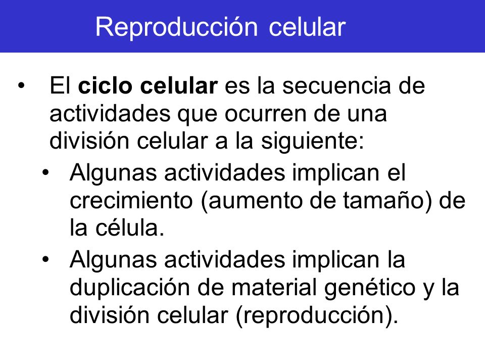 Reproducción celular El ciclo celular es la secuencia de actividades que ocurren de una división celular a la siguiente: