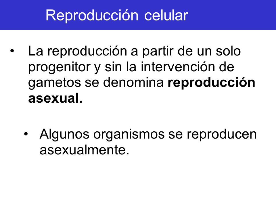 Reproducción celular La reproducción a partir de un solo progenitor y sin la intervención de gametos se denomina reproducción asexual.