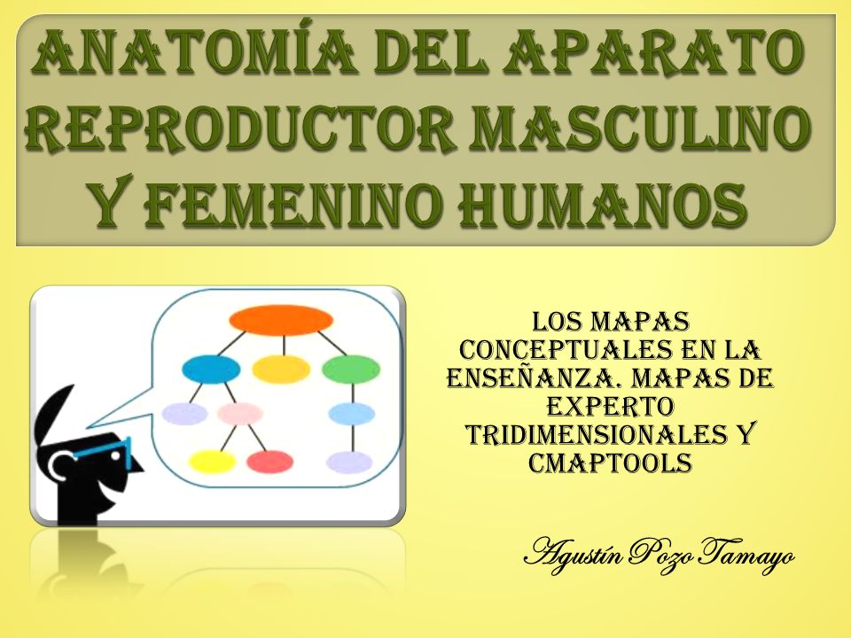 ANATOMÍA DEL APARATO REPRODUCTOR MASCULINO Y FEMENINO HUMANOS