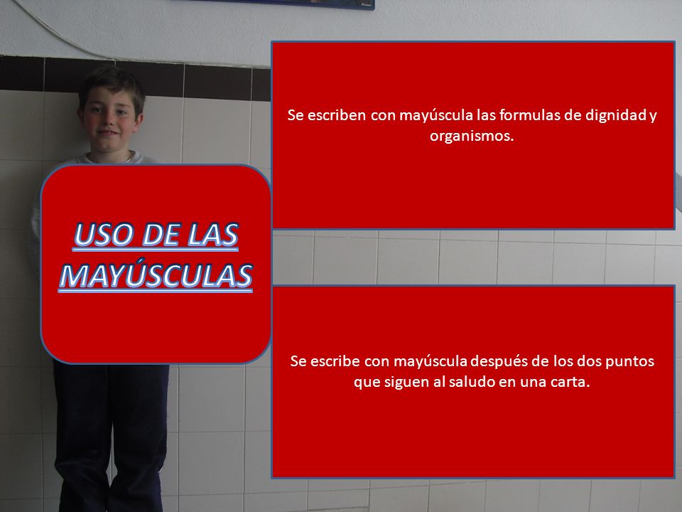 Se escriben con mayúscula las formulas de dignidad y organismos.