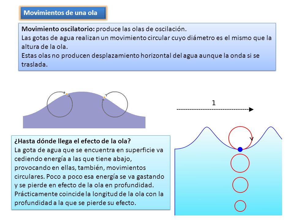 Movimientos de una ola Movimiento oscilatorio: produce las olas de oscilación.