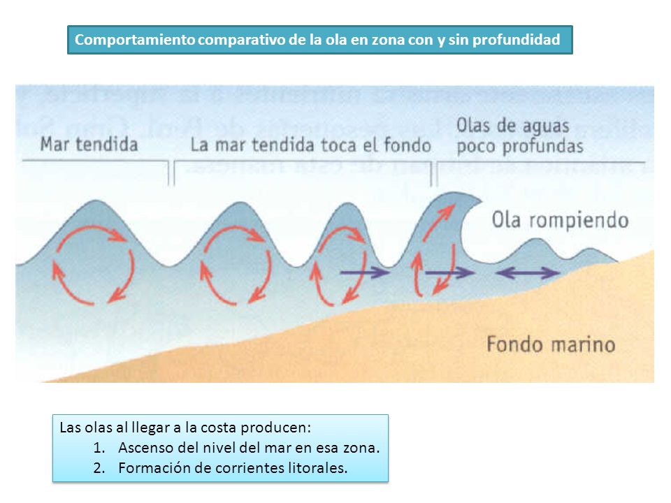 Comportamiento comparativo de la ola en zona con y sin profundidad