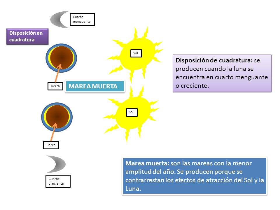 Tierra Sol. Disposición en cuadratura. Cuarto menguante. Cuarto creciente. MAREA MUERTA.