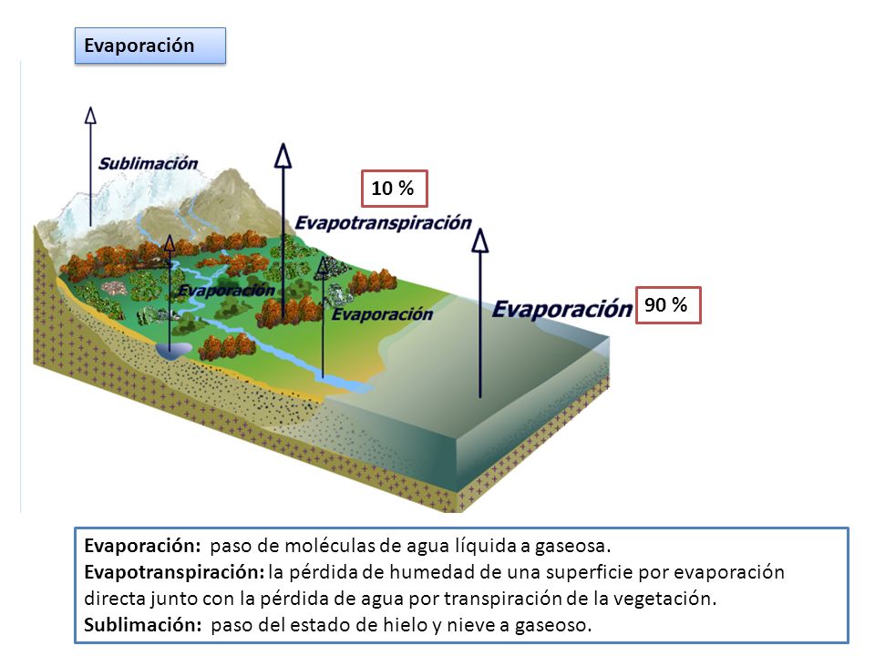 Evaporación 10 % 90 % Evaporación: paso de moléculas de agua líquida a gaseosa.