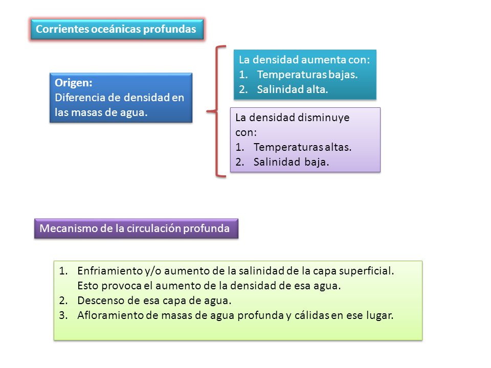 Corrientes oceánicas profundas