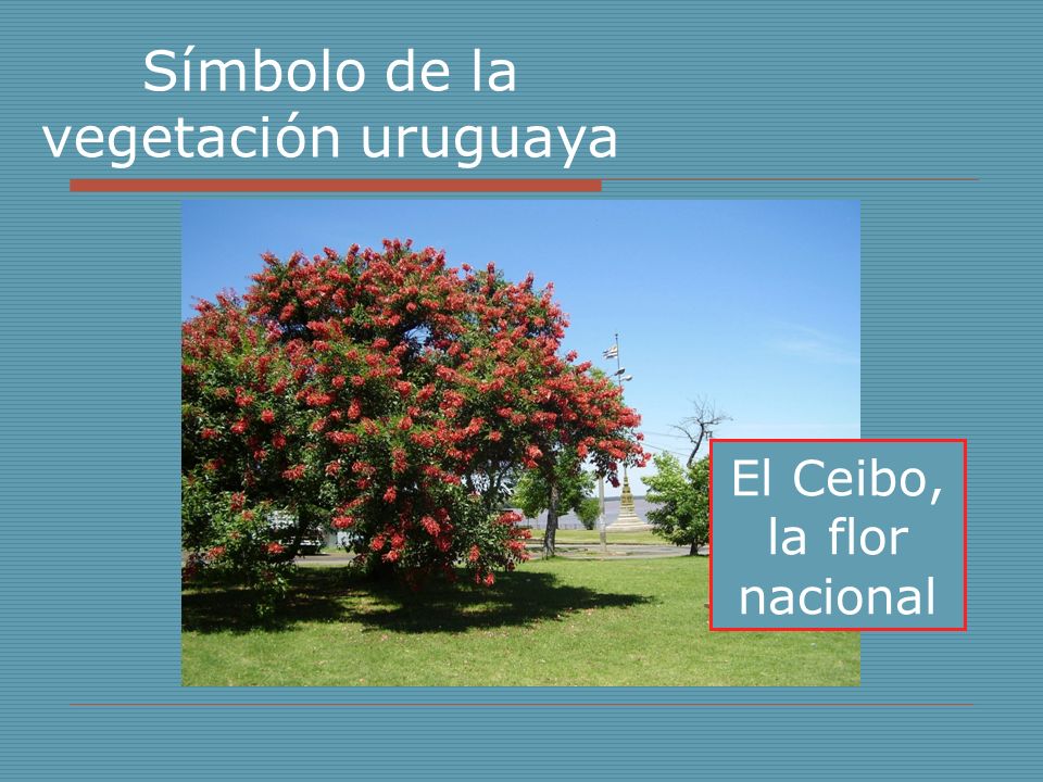 Vegetación del Uruguay - ppt video online descargar