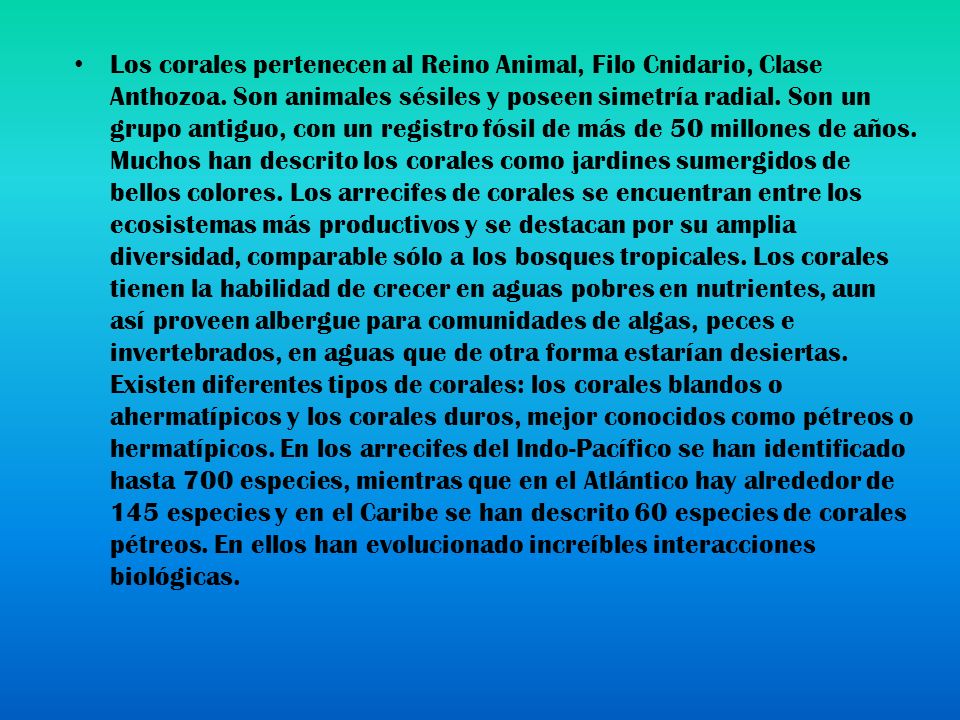 Los corales pertenecen al Reino Animal, Filo Cnidario, Clase Anthozoa