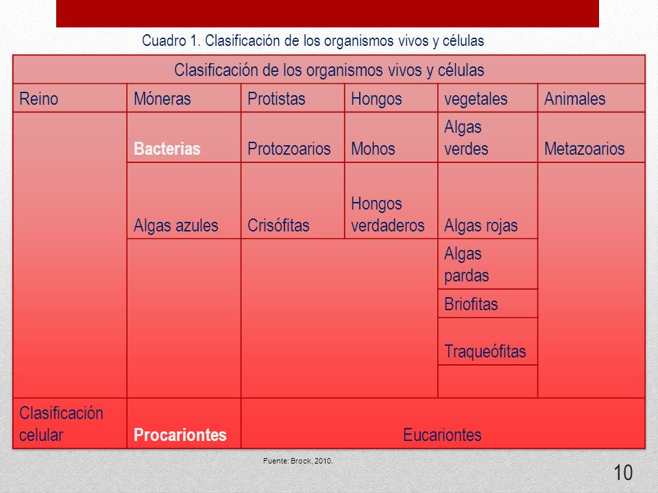 Clasificación de los organismos vivos y células Reino Móneras