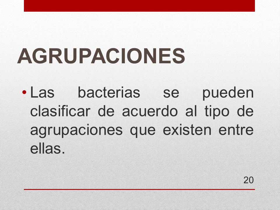 AGRUPACIONES Las bacterias se pueden clasificar de acuerdo al tipo de agrupaciones que existen entre ellas.