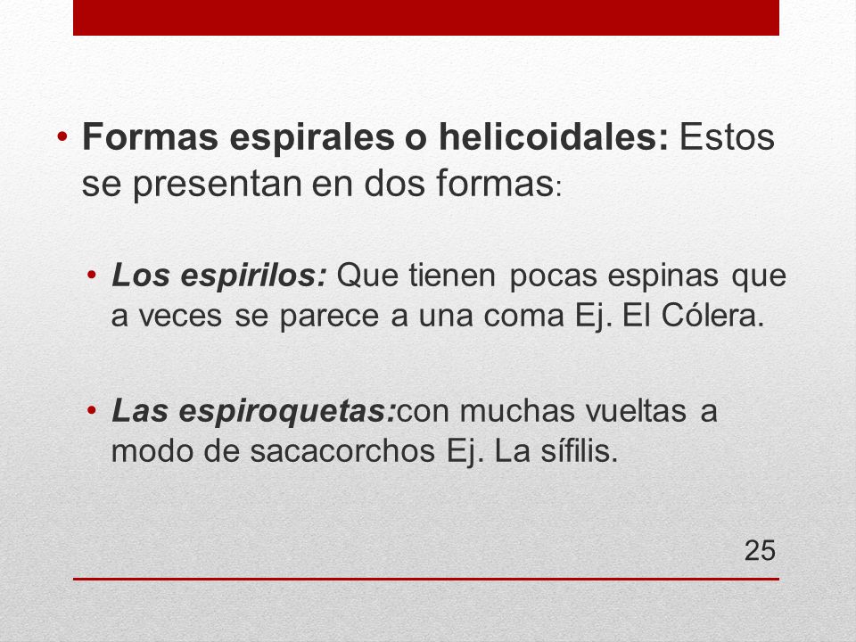 Formas espirales o helicoidales: Estos se presentan en dos formas:
