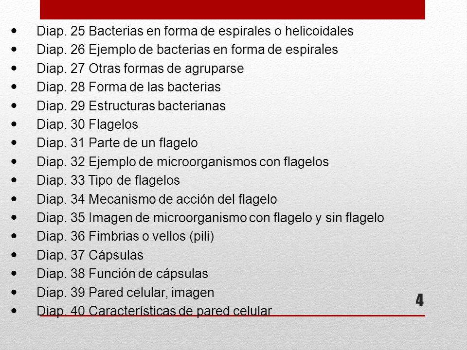 Diap. 25 Bacterias en forma de espirales o helicoidales