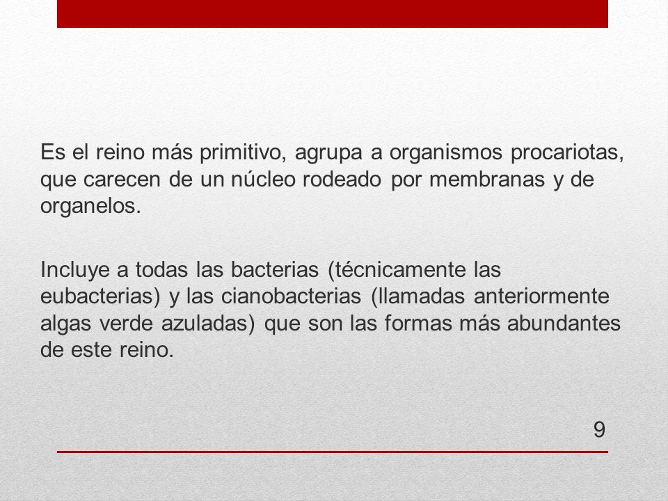 Es el reino más primitivo, agrupa a organismos procariotas, que carecen de un núcleo rodeado por membranas y de organelos.