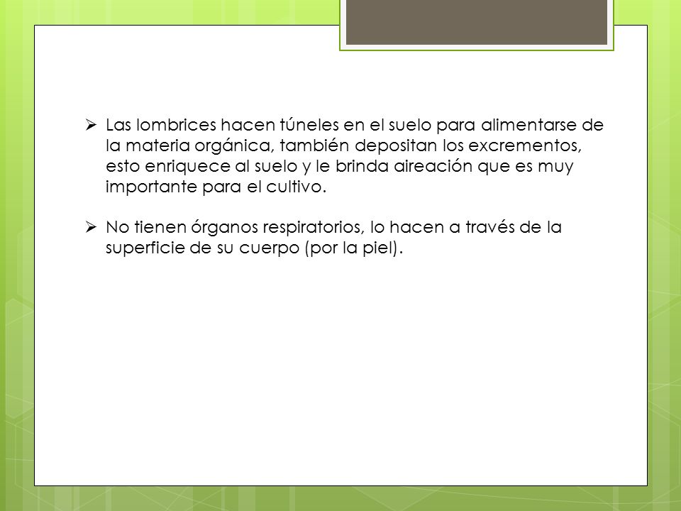 Las lombrices hacen túneles en el suelo para alimentarse de la materia orgánica, también depositan los excrementos, esto enriquece al suelo y le brinda aireación que es muy importante para el cultivo.