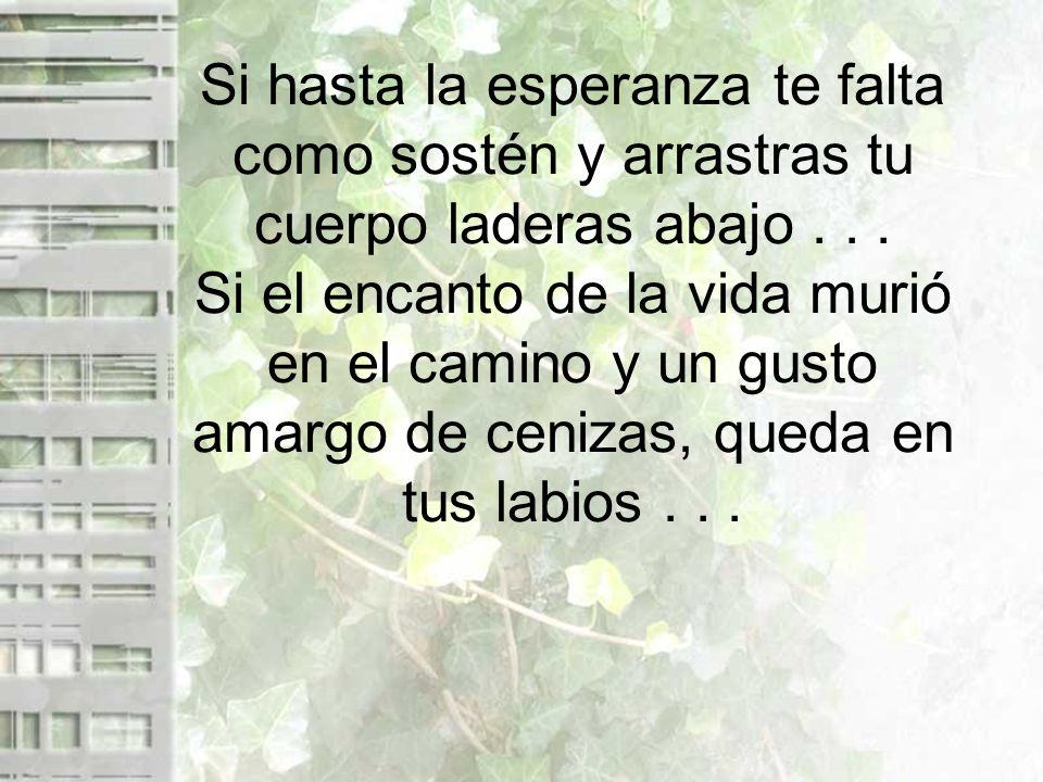 Si hasta la esperanza te falta como sostén y arrastras tu cuerpo laderas abajo .