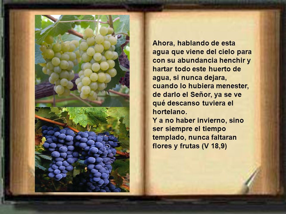 Ahora, hablando de esta agua que viene del cielo para con su abundancia henchir y hartar todo este huerto de agua, si nunca dejara, cuando lo hubiera menester, de darlo el Señor, ya se ve qué descanso tuviera el hortelano.
