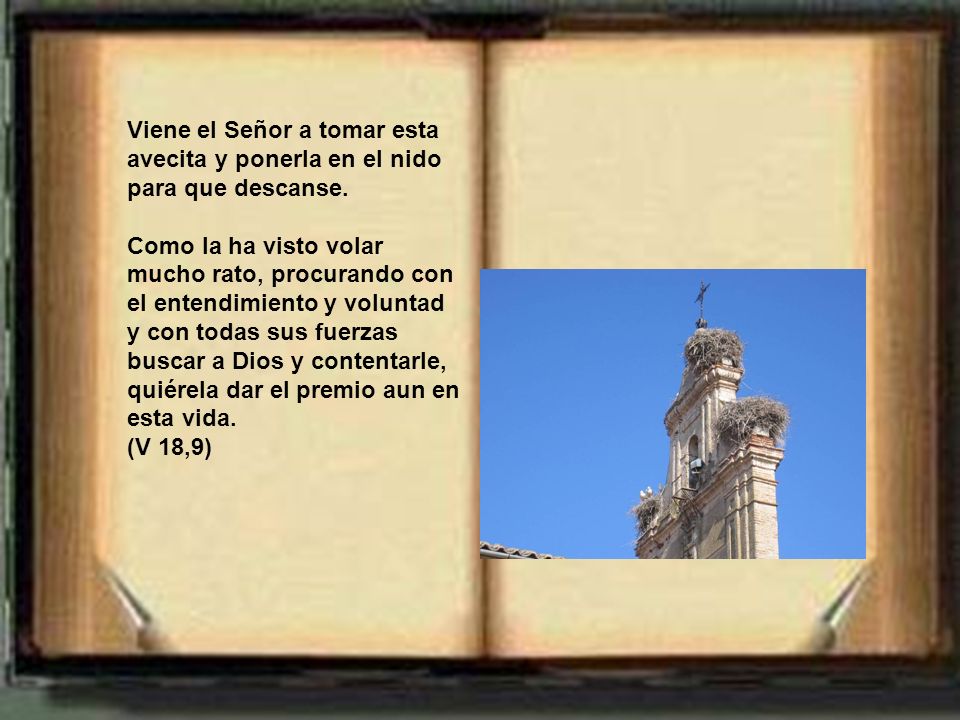Viene el Señor a tomar esta avecita y ponerla en el nido para que descanse.