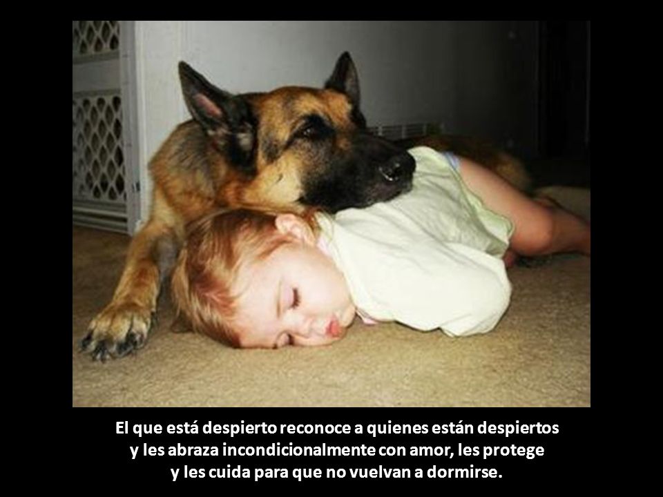 El que está despierto reconoce a quienes están despiertos y les abraza incondicionalmente con amor, les protege y les cuida para que no vuelvan a dormirse.
