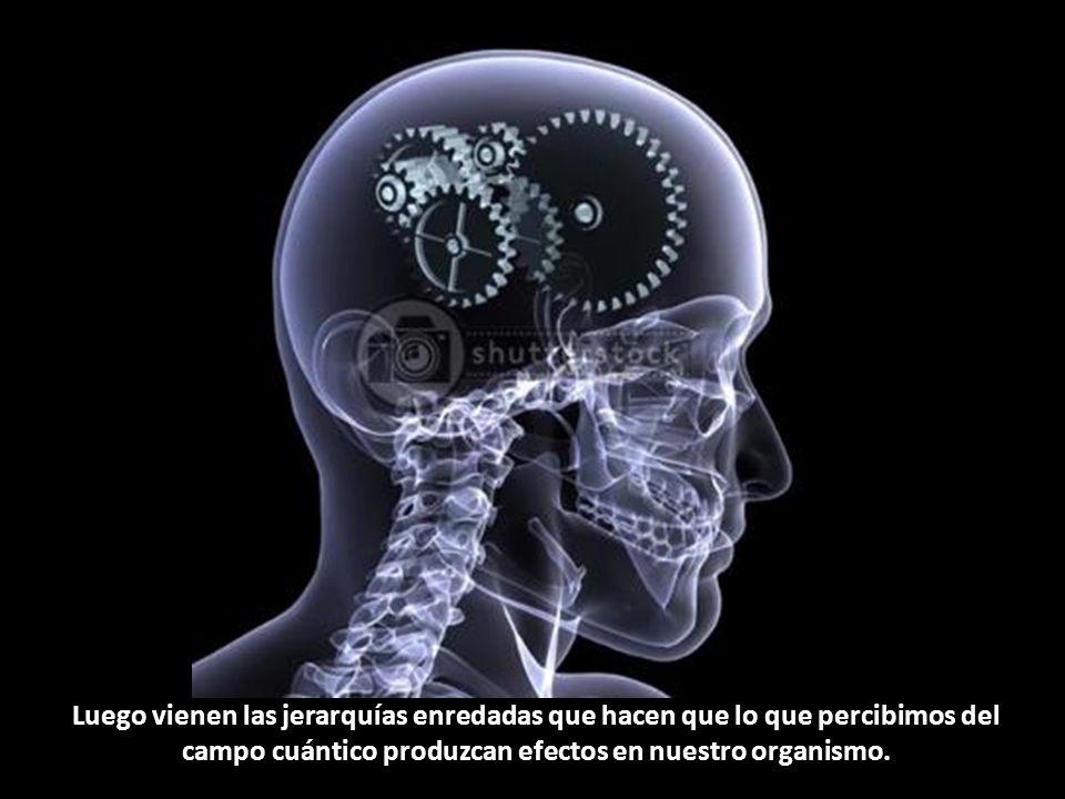 Luego vienen las jerarquías enredadas que hacen que lo que percibimos del campo cuántico produzcan efectos en nuestro organismo.