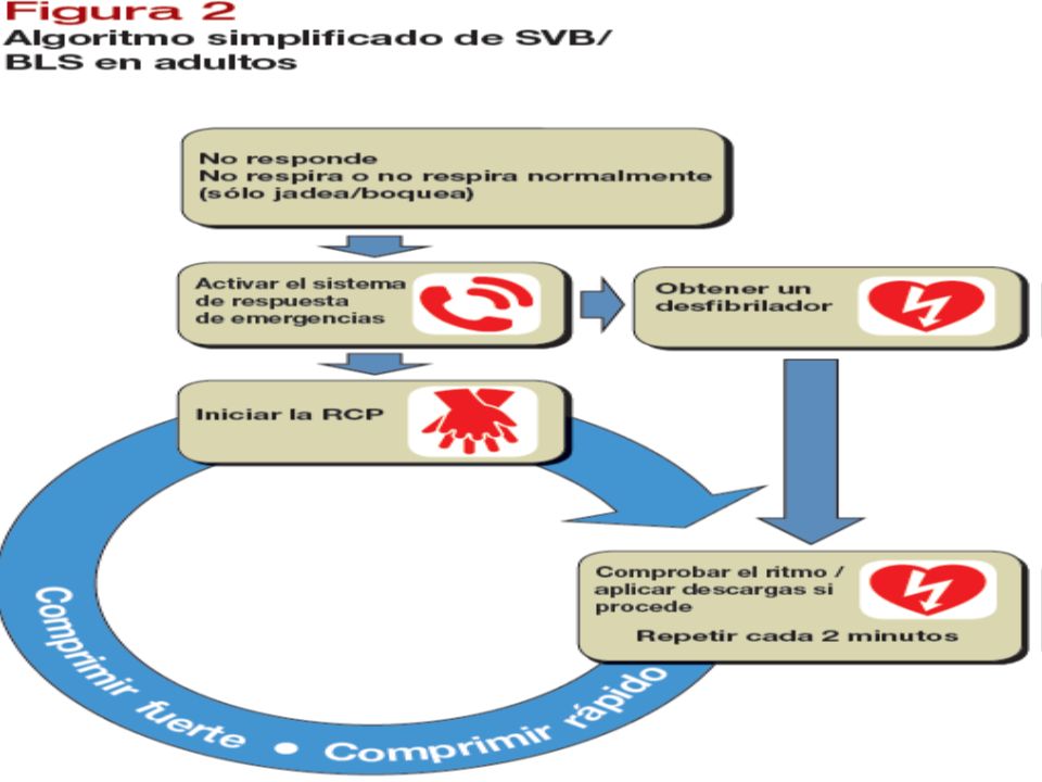 Se ha creado un algoritmo universal simplificado del soporte vital básico en adultos