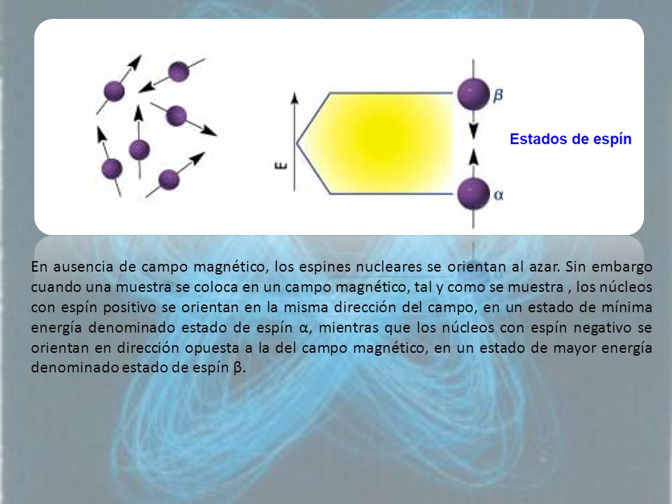 En ausencia de campo magnético, los espines nucleares se orientan al azar.