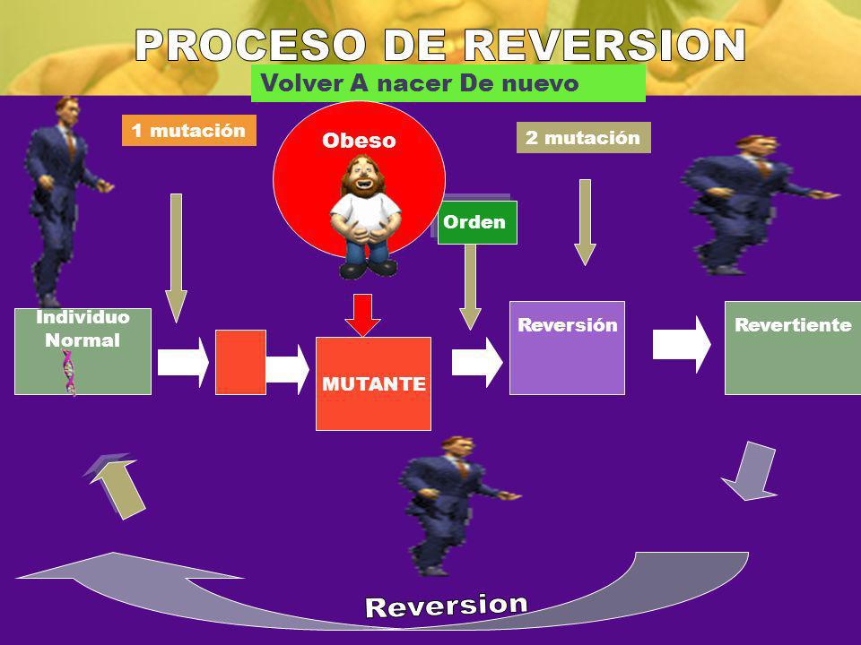 PROCESO DE REVERSION Reversion Volver A nacer De nuevo Obeso