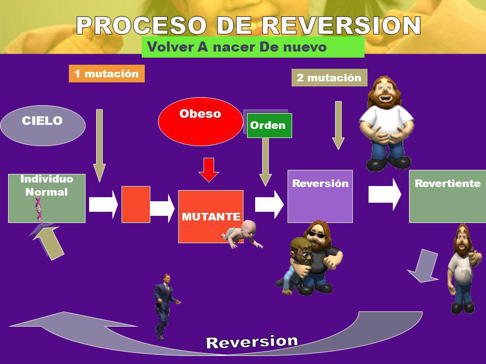 PROCESO DE REVERSION Reversion Volver A nacer De nuevo Obeso CIELO