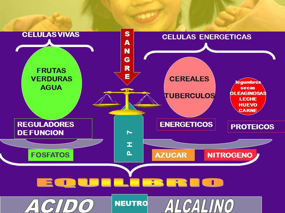 EQUILIBRIO ACIDO ALCALINO CELULAS VIVAS S A N G R E